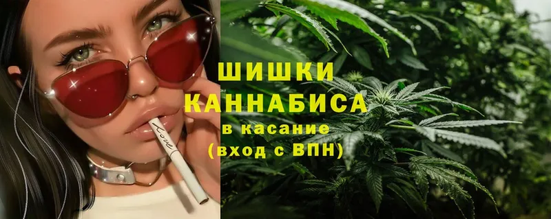 купить   Сельцо  Бошки марихуана White Widow 